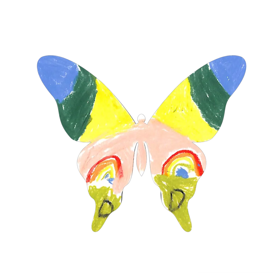 Original Butterfly Image