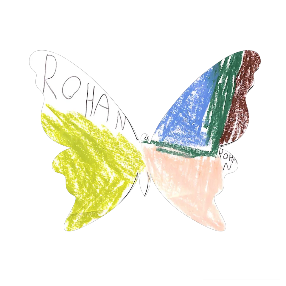 Original Butterfly Image