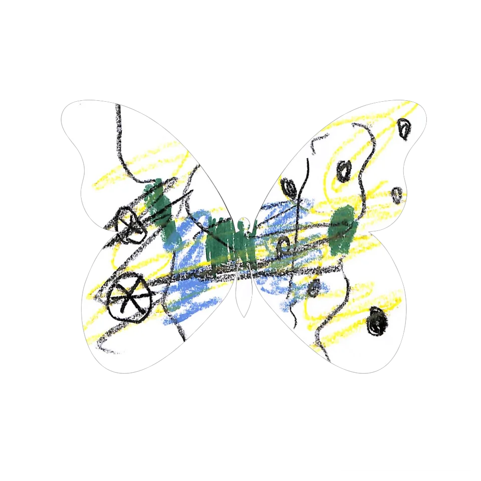 Original Butterfly Image