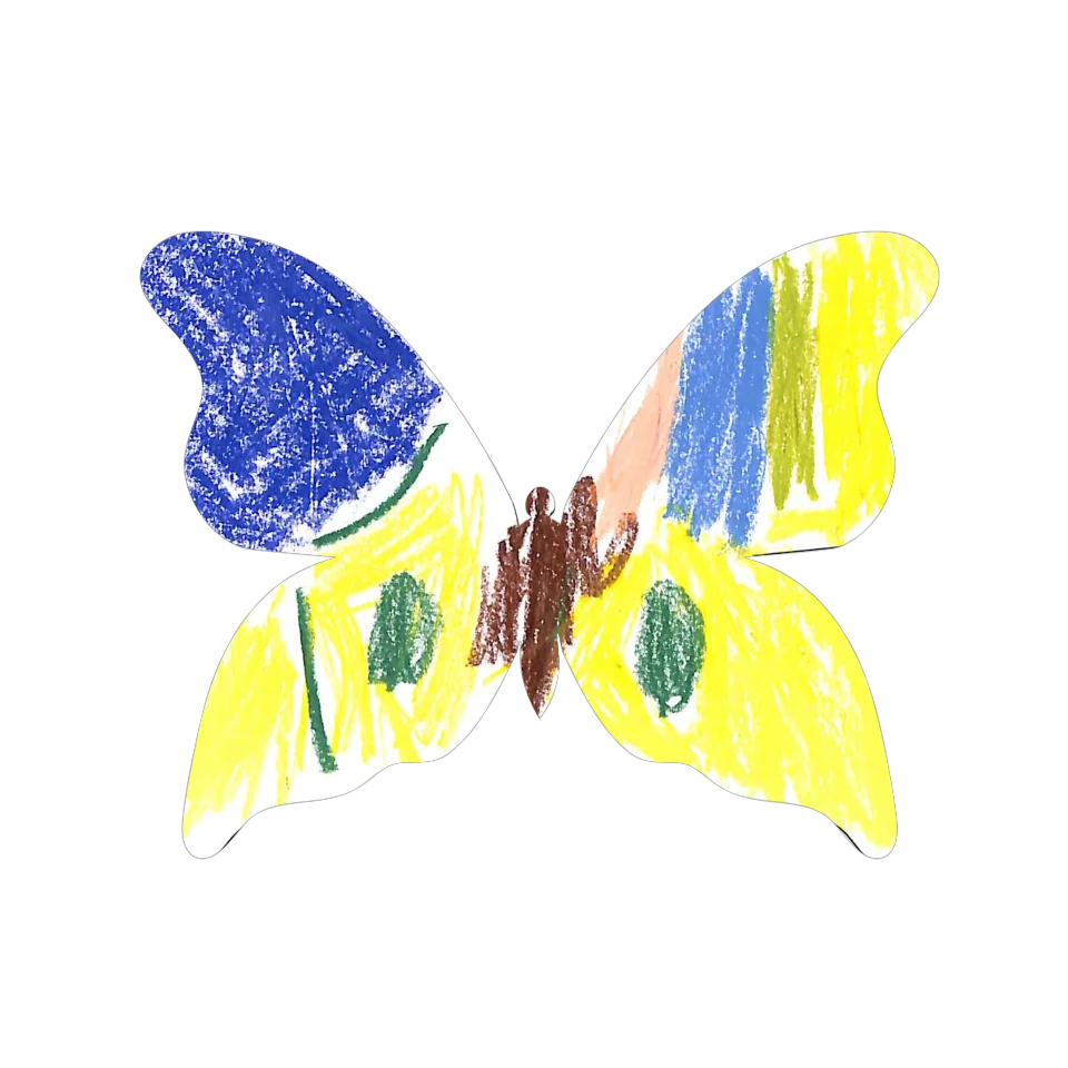 Original Butterfly Image