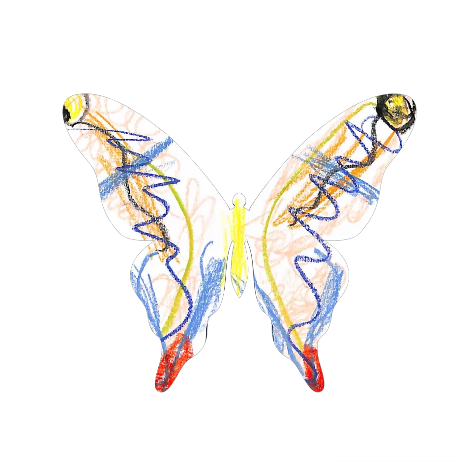 Original Butterfly Image