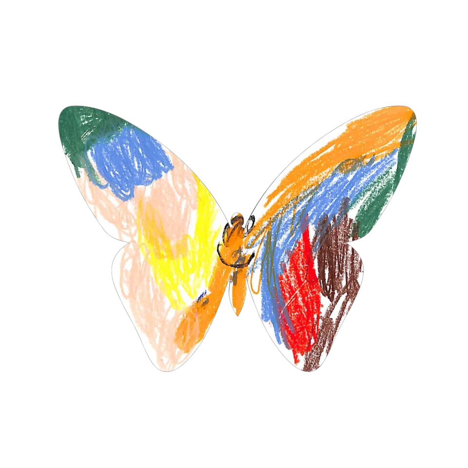 Original Butterfly Image