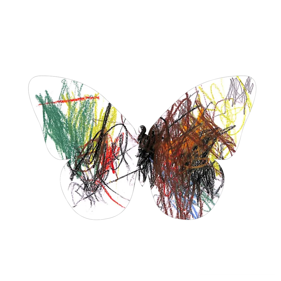 Original Butterfly Image