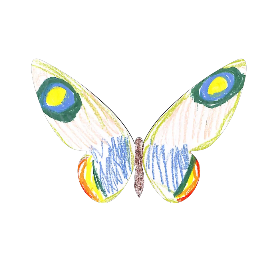 Original Butterfly Image