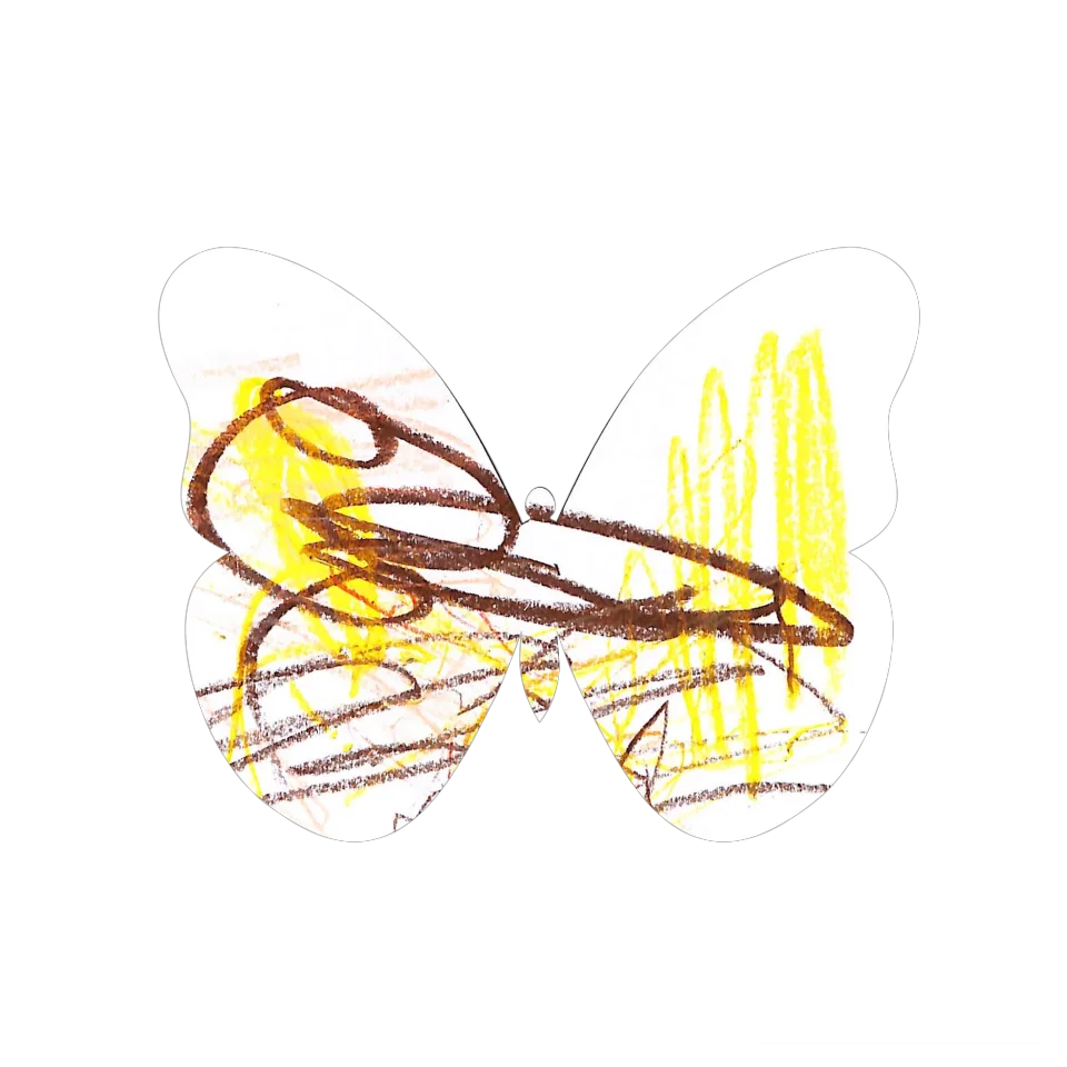 Original Butterfly Image