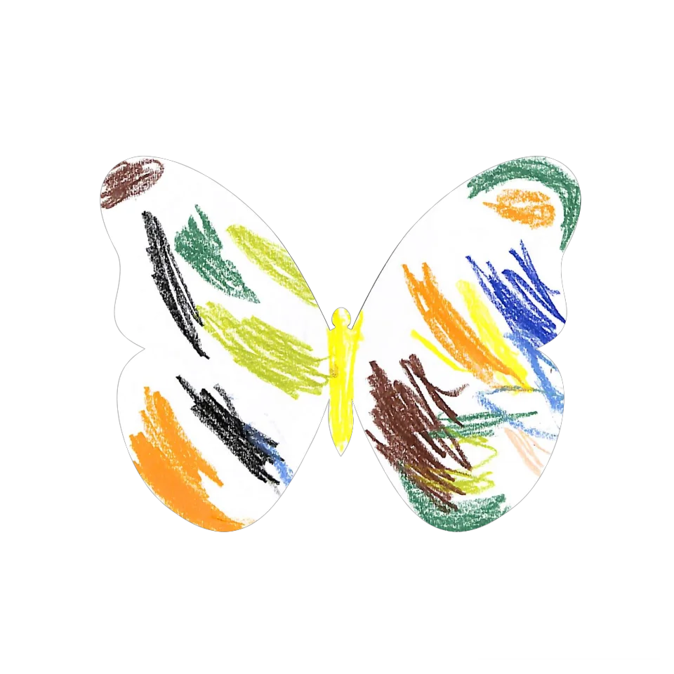 Original Butterfly Image