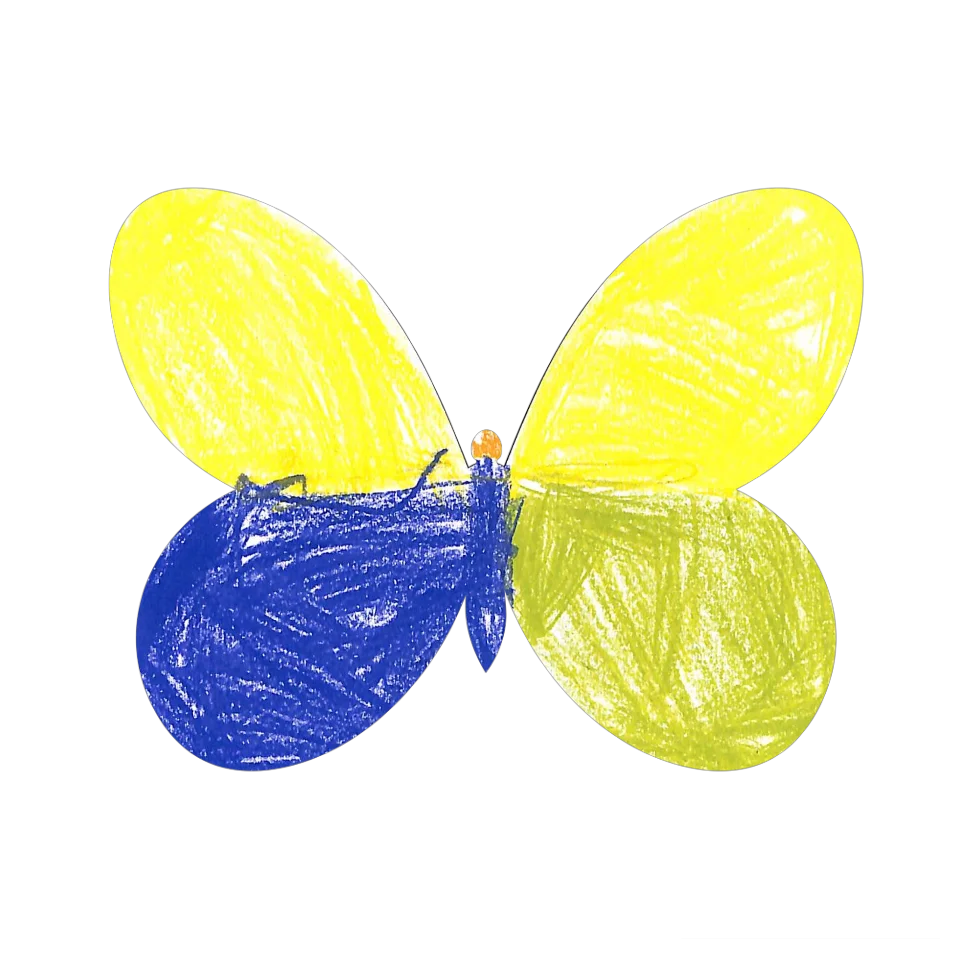 Original Butterfly Image