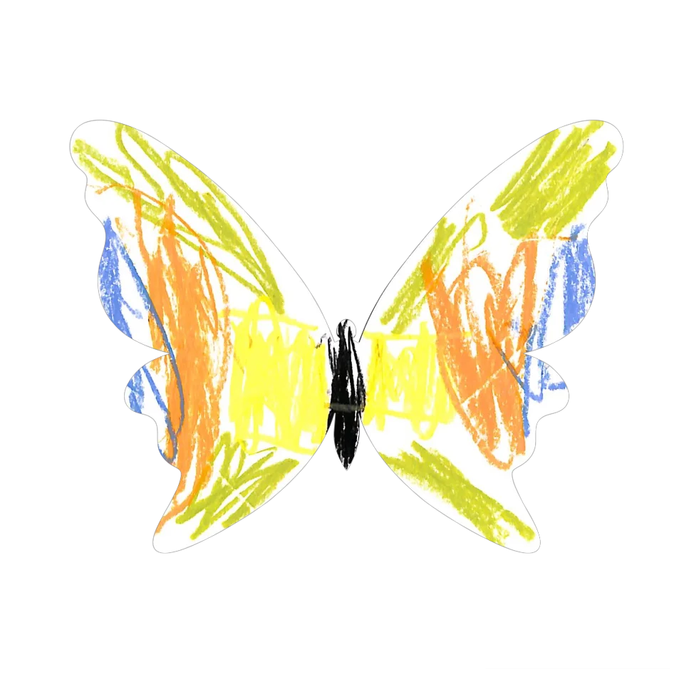 Original Butterfly Image