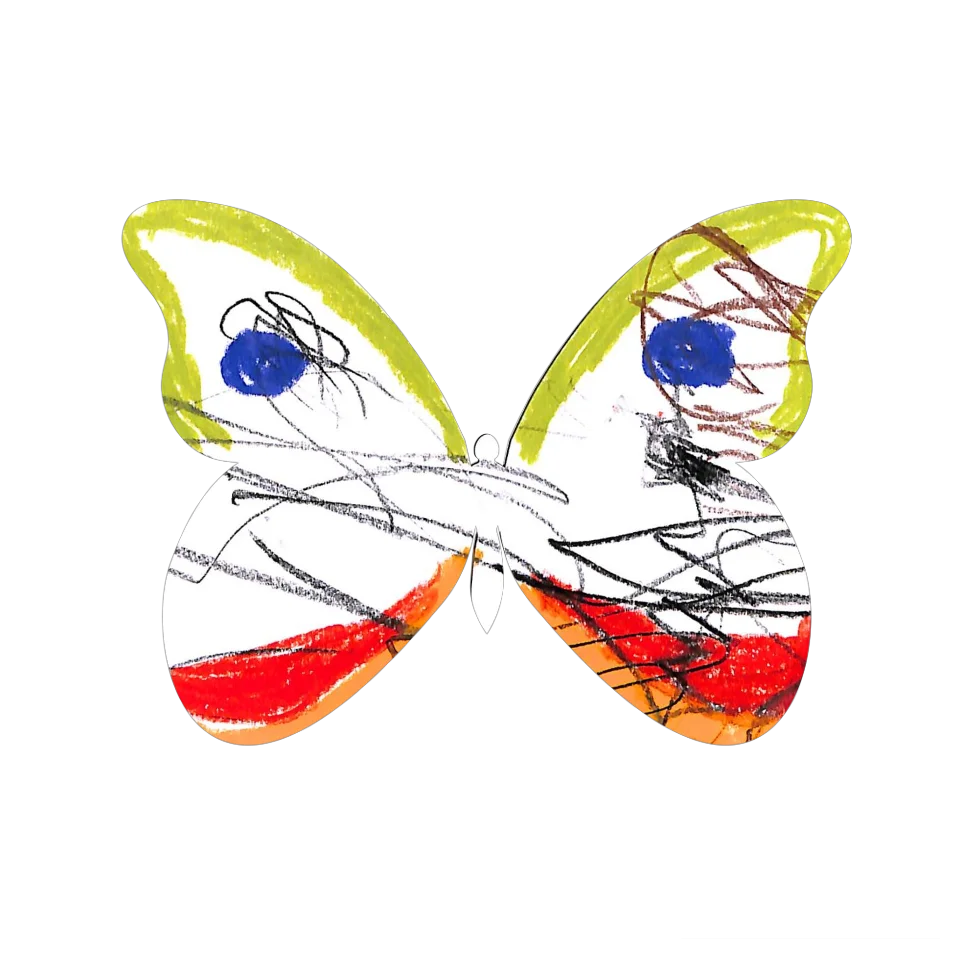 Original Butterfly Image