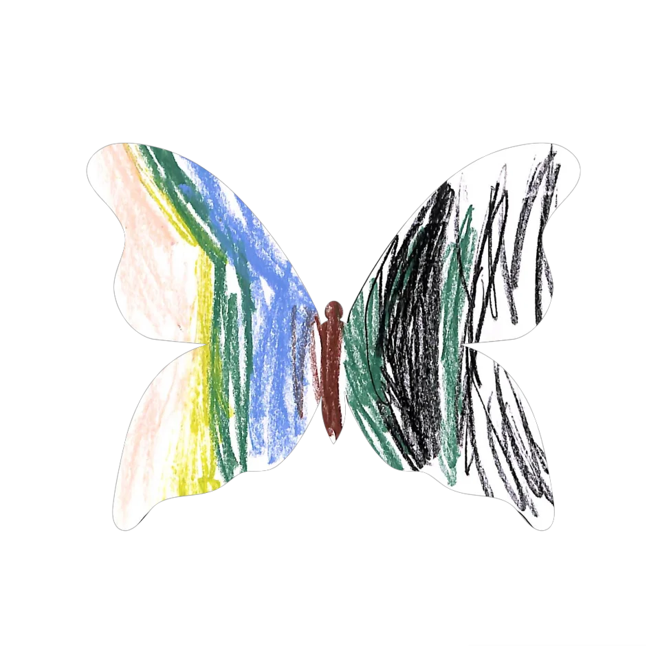 Original Butterfly Image