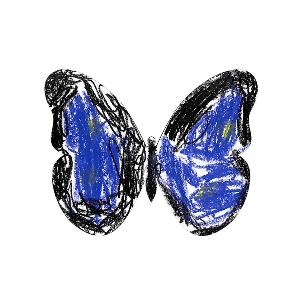 Original Butterfly Image