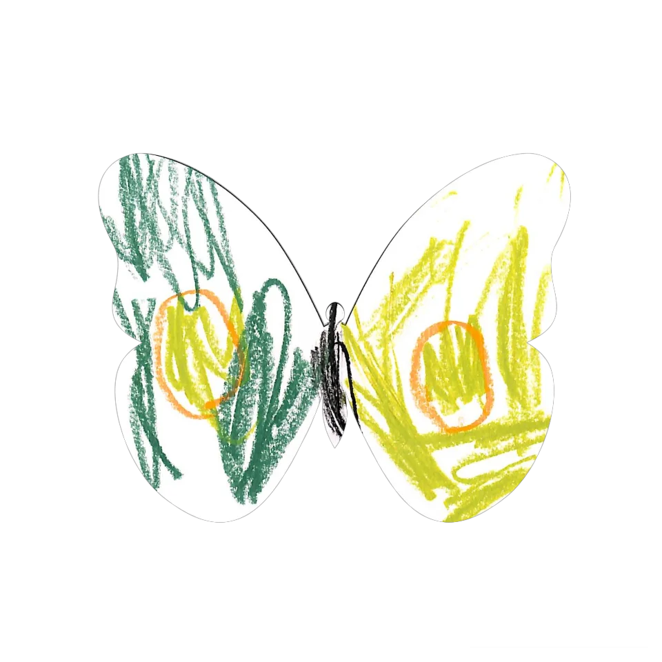 Original Butterfly Image