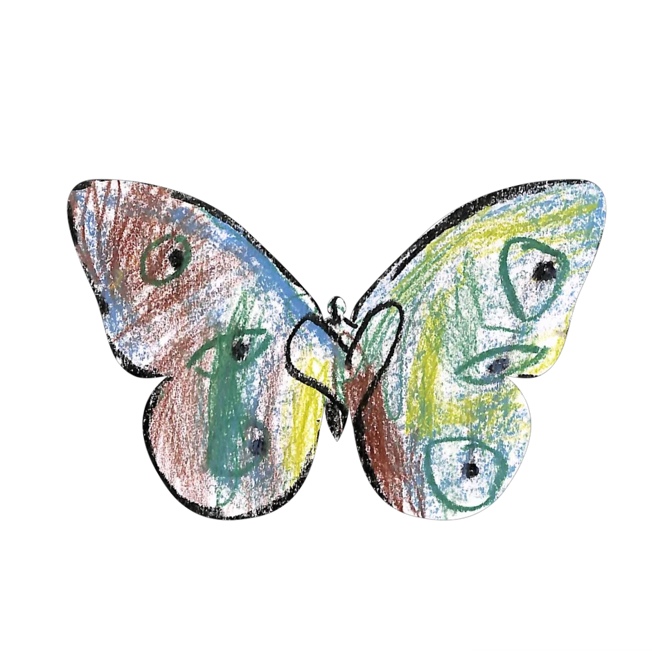 Original Butterfly Image