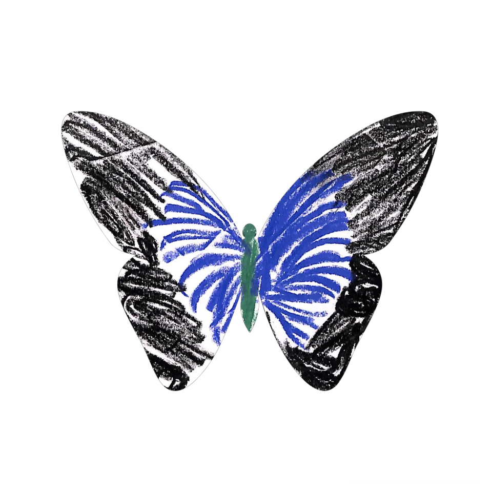 Original Butterfly Image