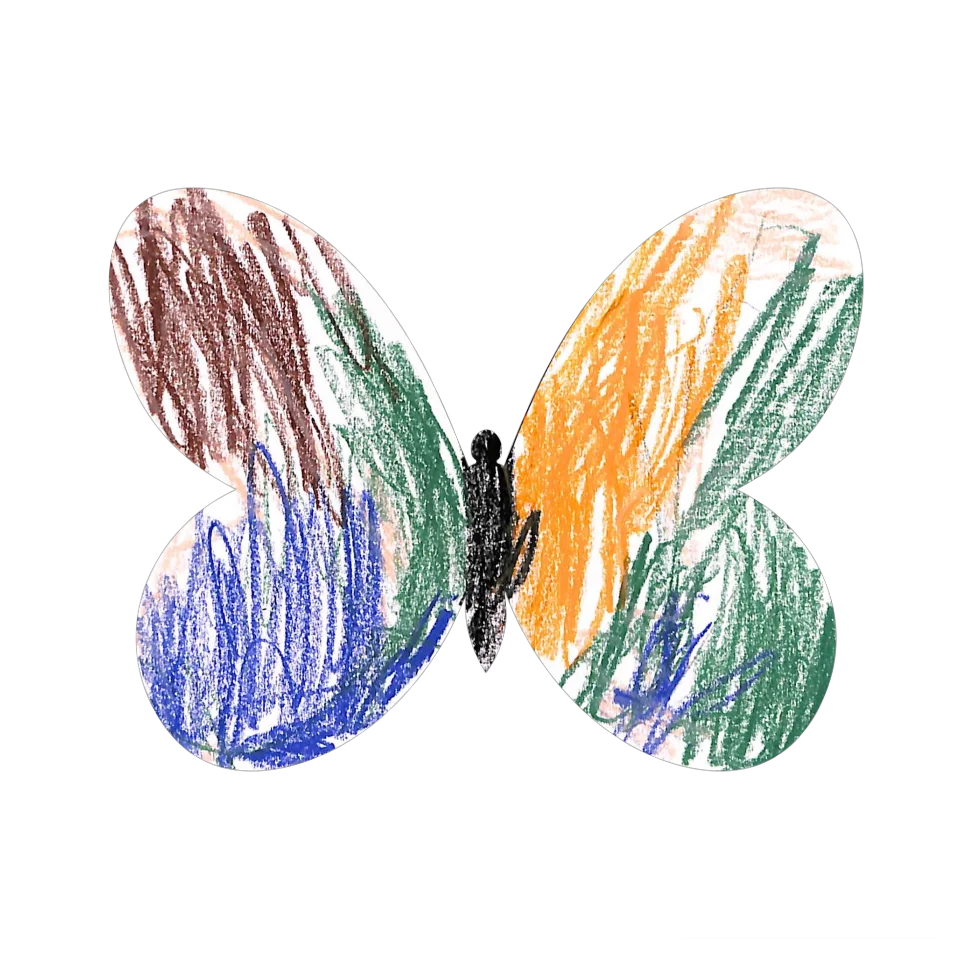 Original Butterfly Image
