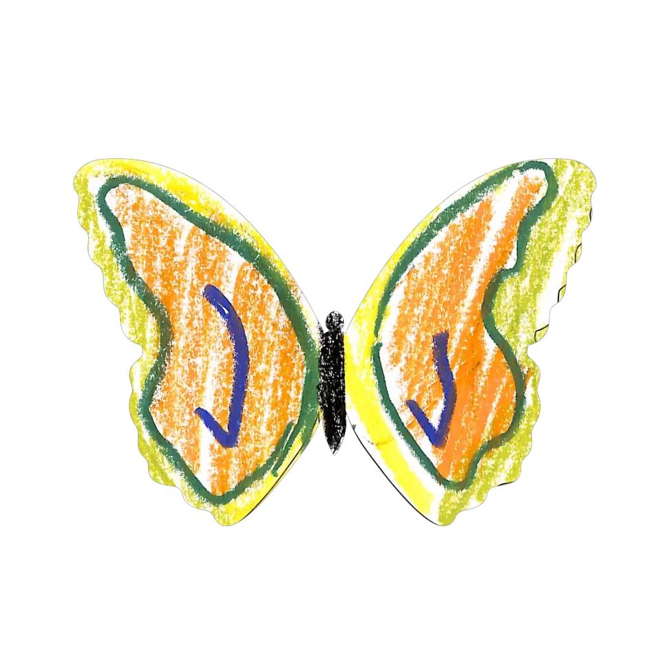 Original Butterfly Image