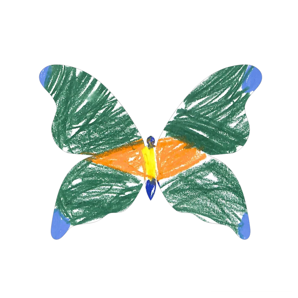 Original Butterfly Image