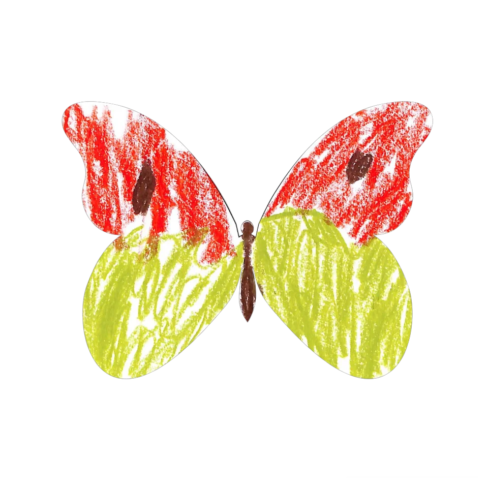 Original Butterfly Image