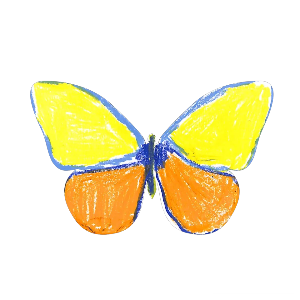 Original Butterfly Image