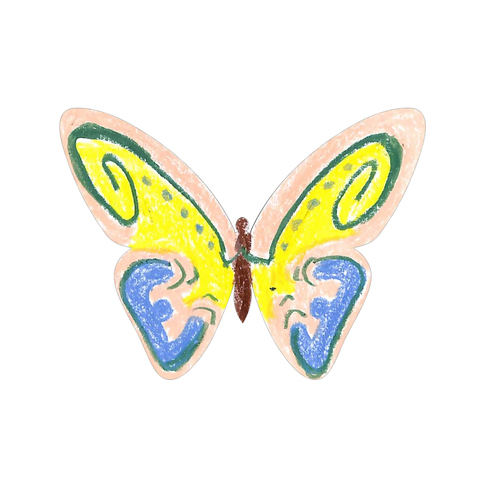 Original Butterfly Image