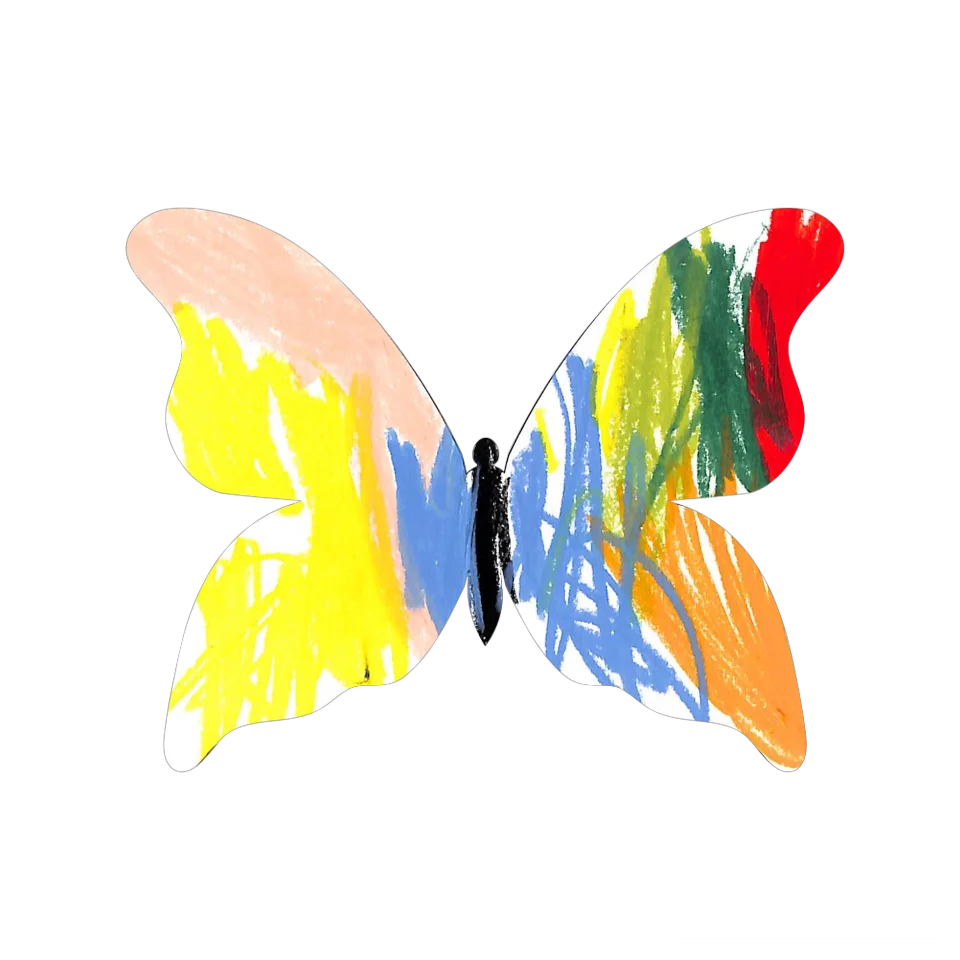 Original Butterfly Image