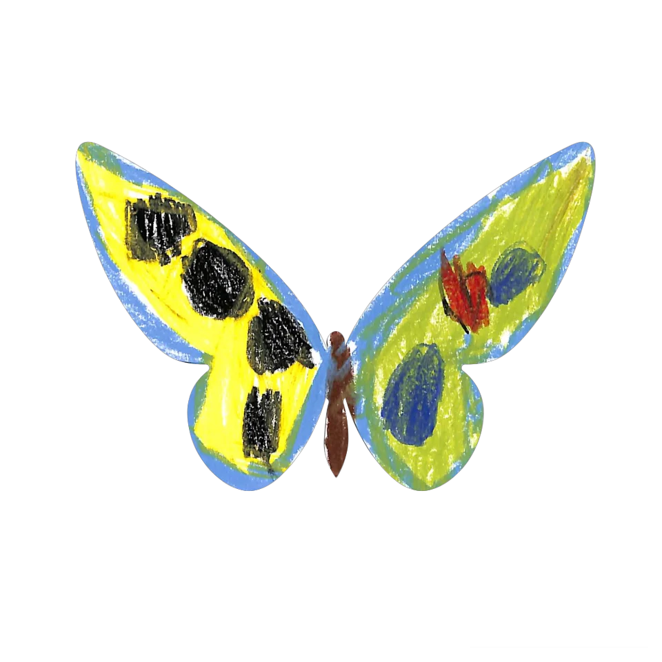 Original Butterfly Image