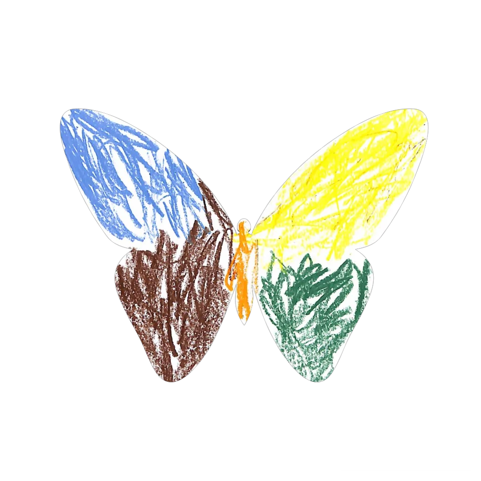 Original Butterfly Image