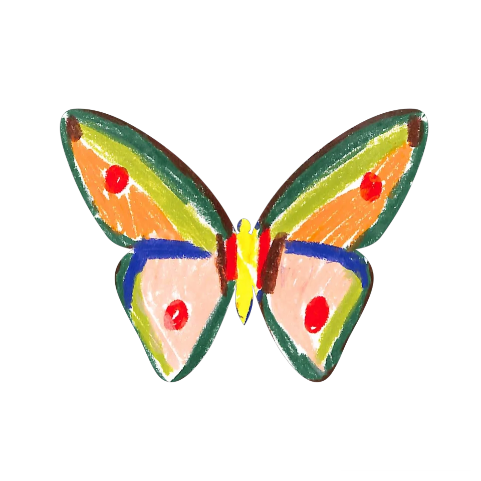 Original Butterfly Image