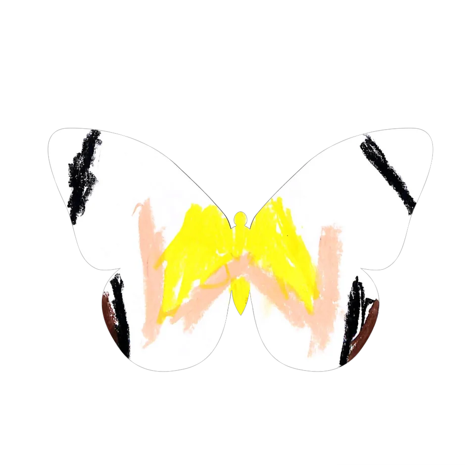 Original Butterfly Image