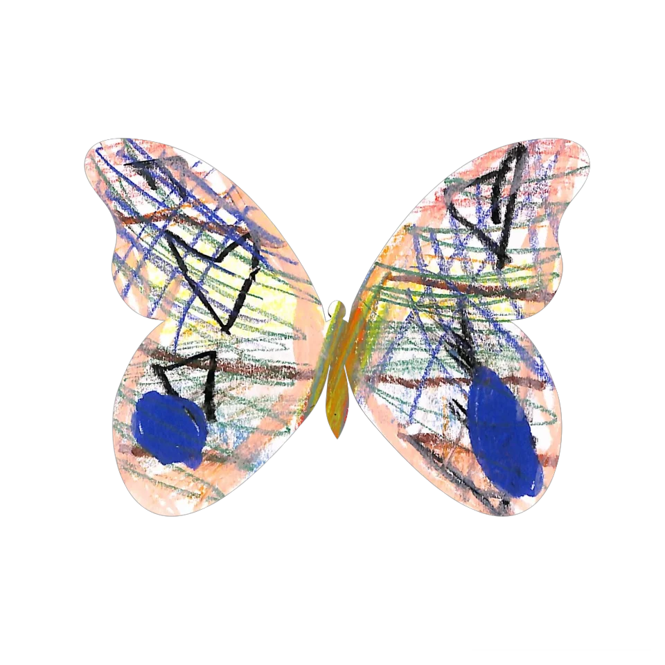 Original Butterfly Image