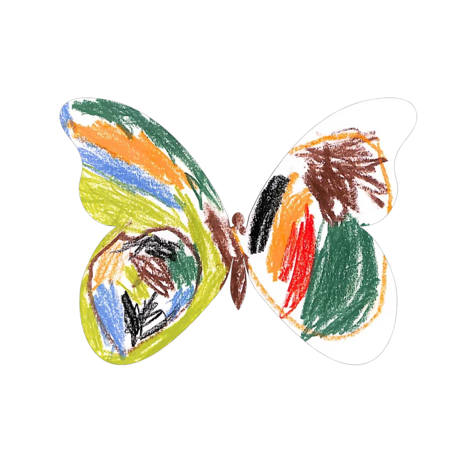 Original Butterfly Image