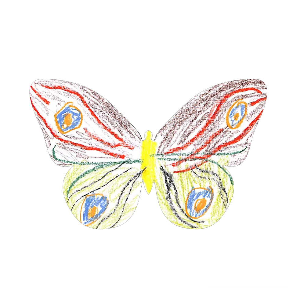 Original Butterfly Image