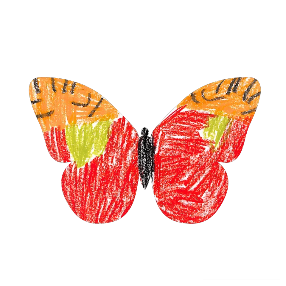 Original Butterfly Image