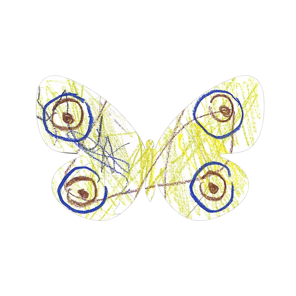 Original Butterfly Image