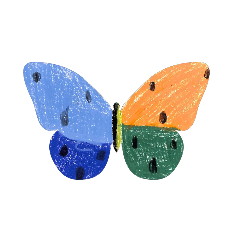 Original Butterfly Image