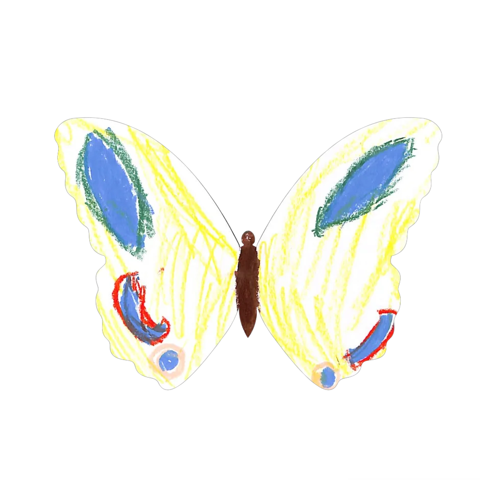 Original Butterfly Image