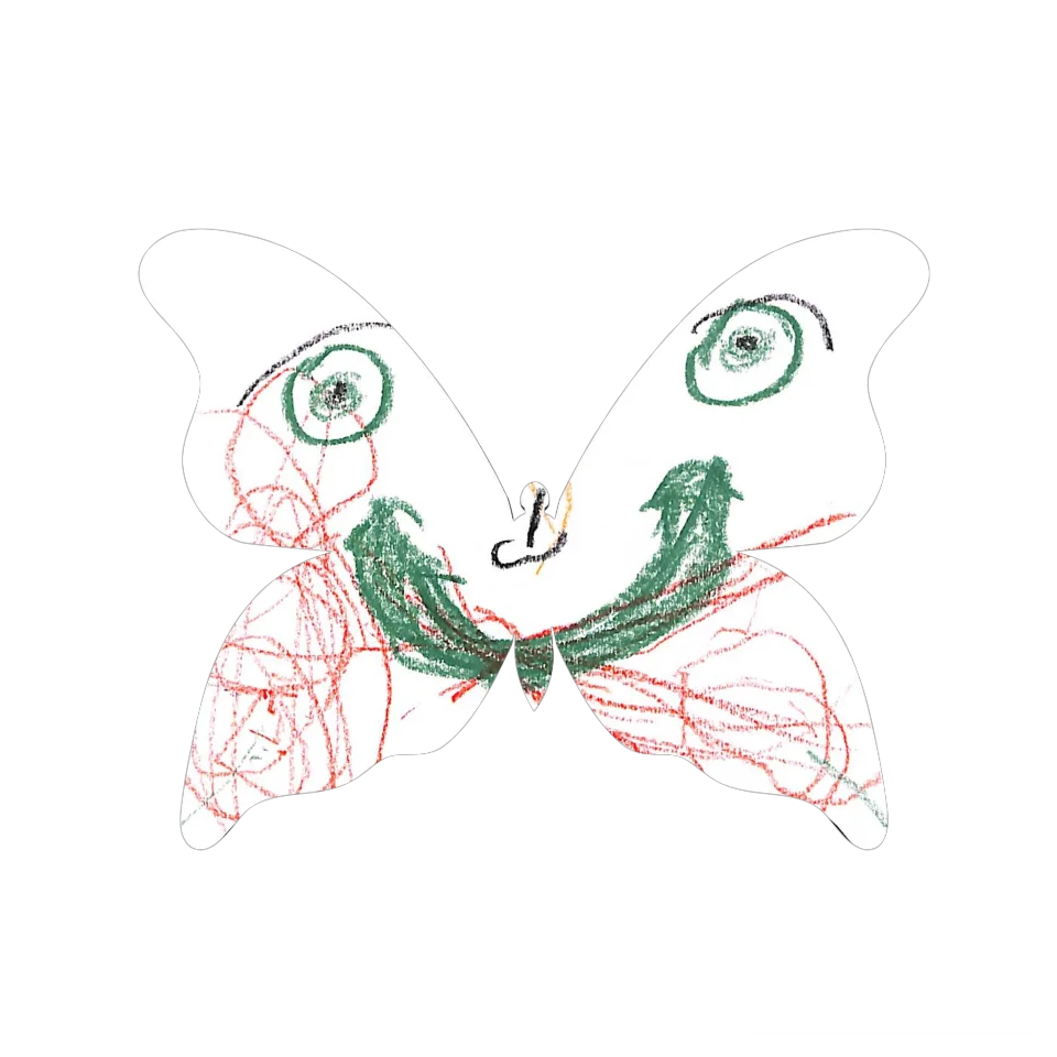 Original Butterfly Image
