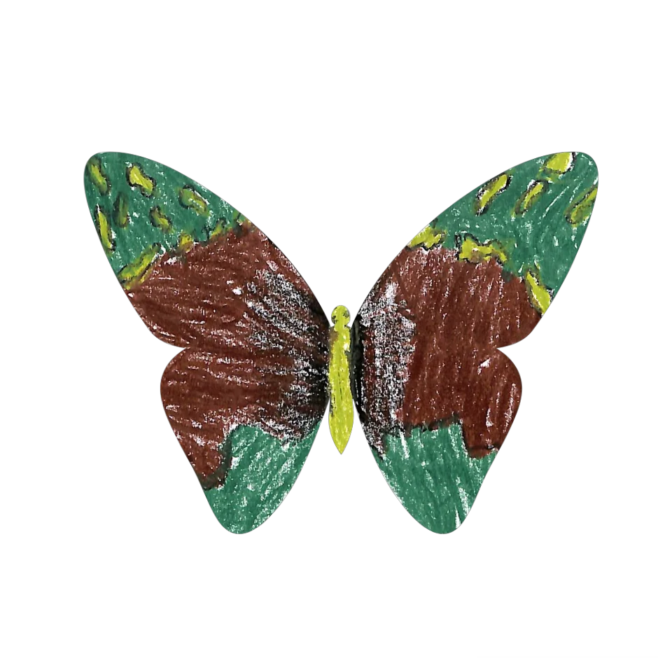 Original Butterfly Image