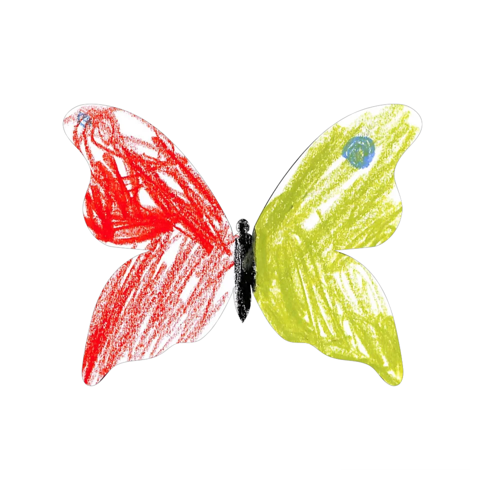 Original Butterfly Image