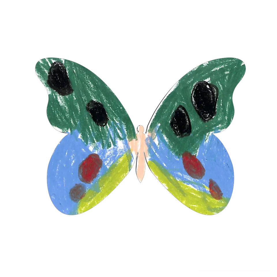 Original Butterfly Image