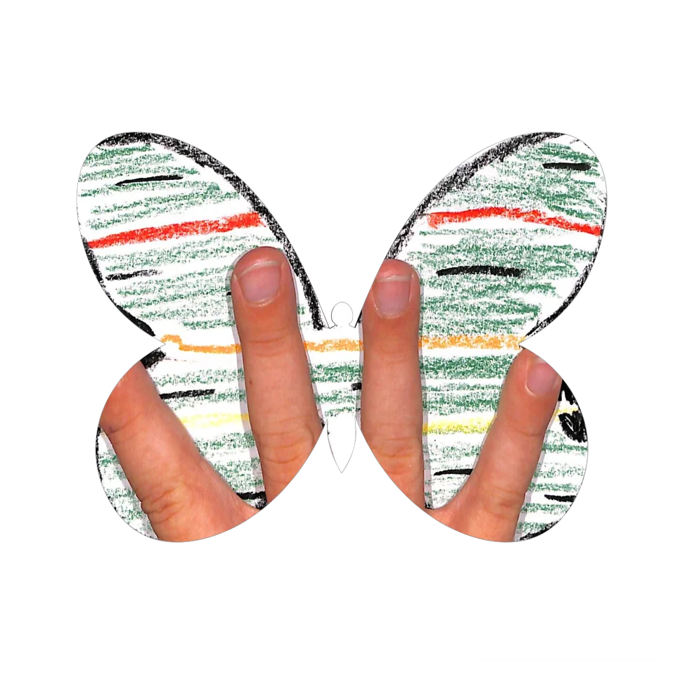 Original Butterfly Image