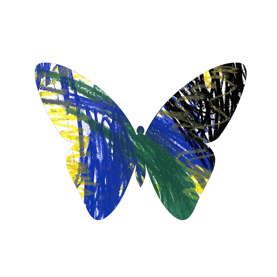 Original Butterfly Image