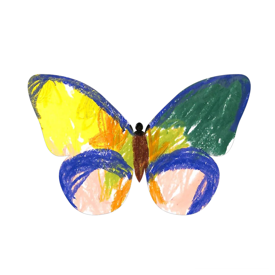 Original Butterfly Image