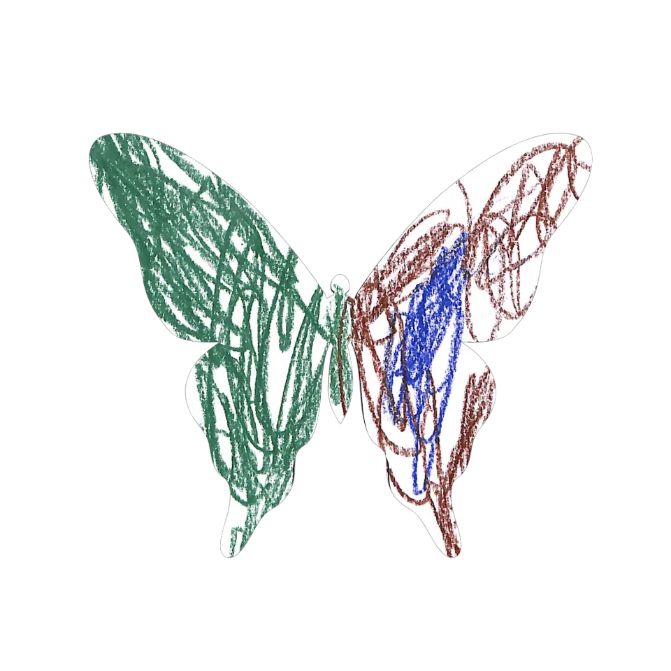 Original Butterfly Image