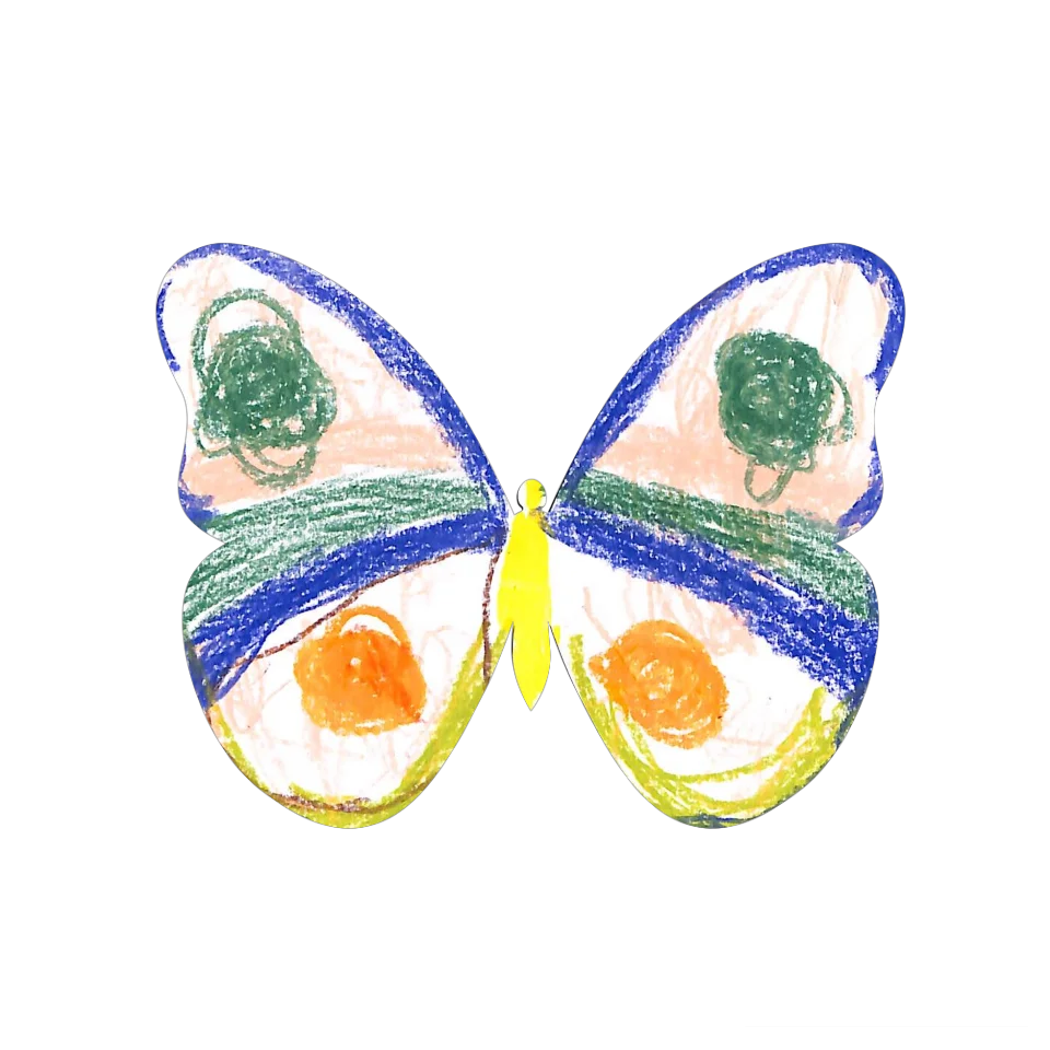 Original Butterfly Image