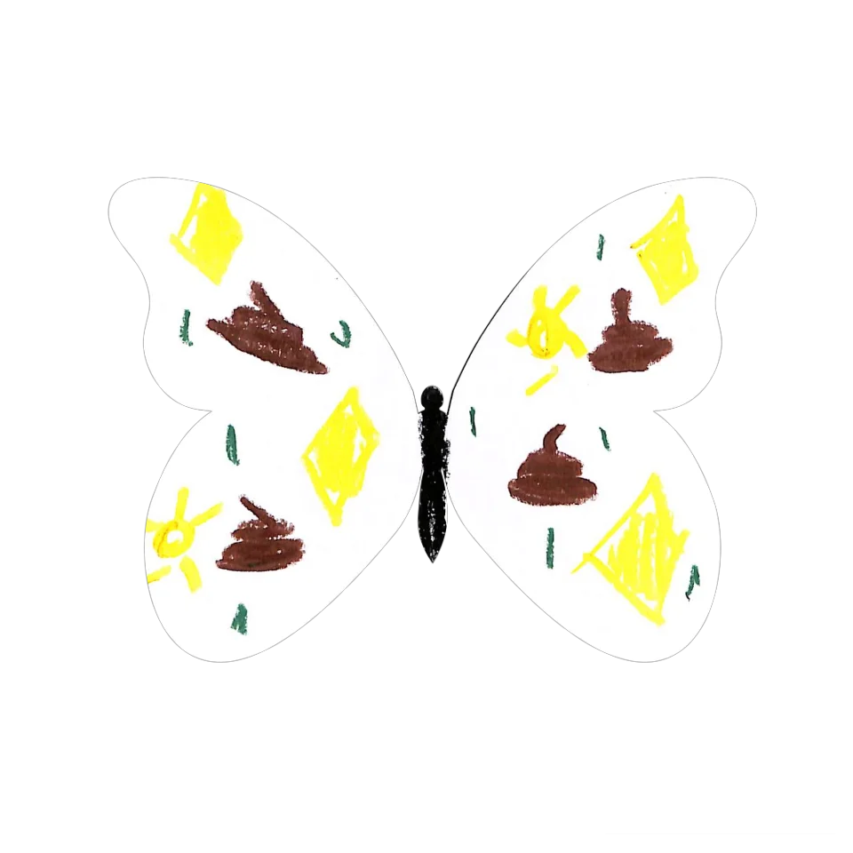 Original Butterfly Image