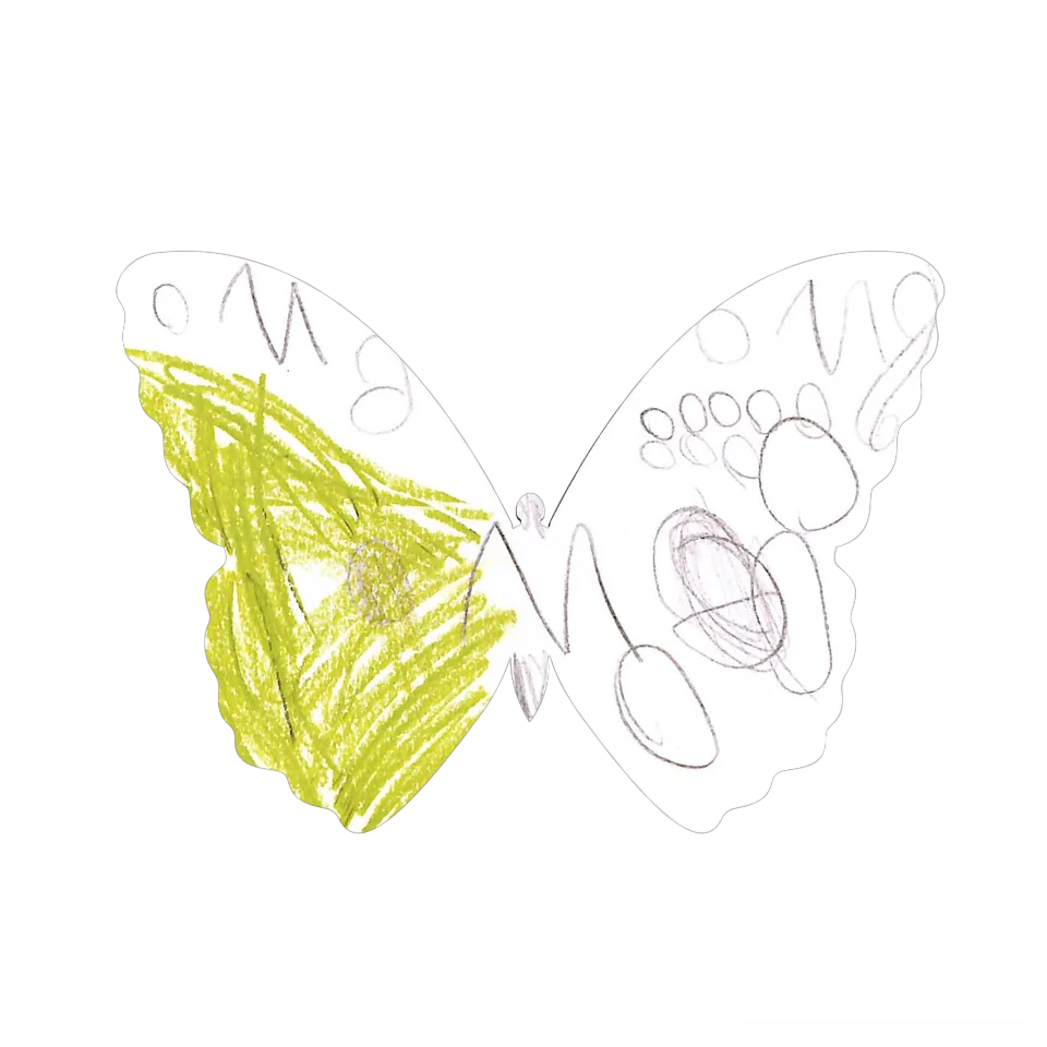 Original Butterfly Image