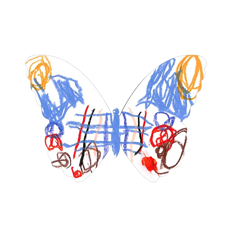 Original Butterfly Image
