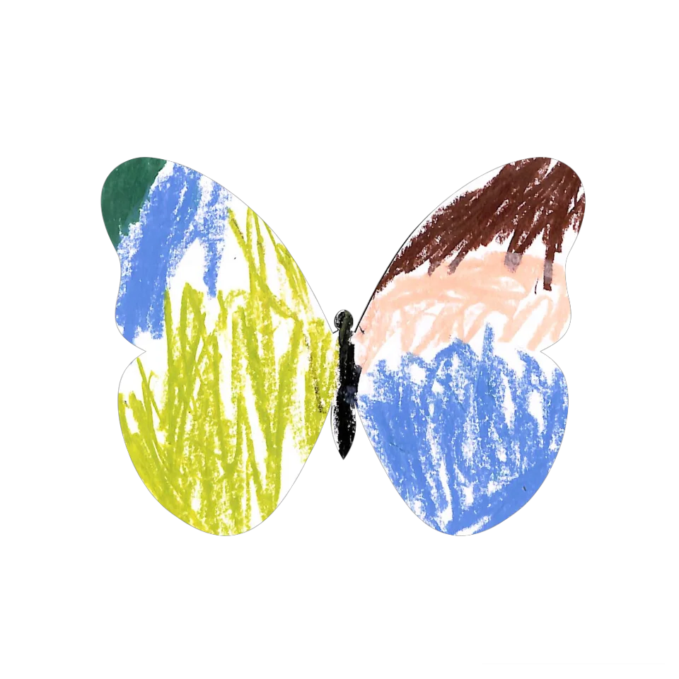 Original Butterfly Image