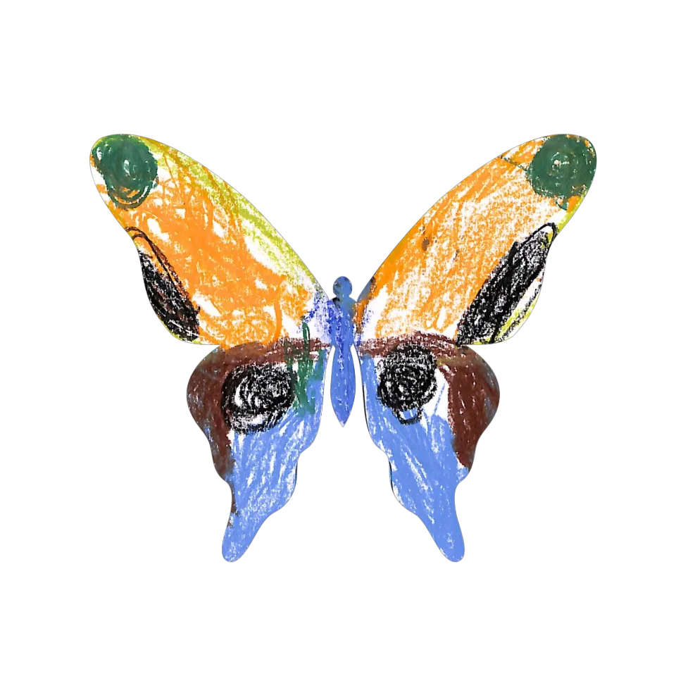 Original Butterfly Image